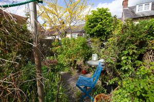 Garden (1)- click for photo gallery